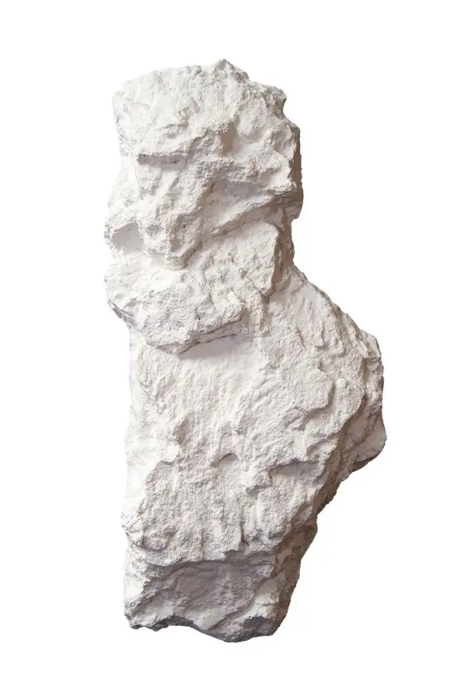 Kleine afbeelding van Noch 61231