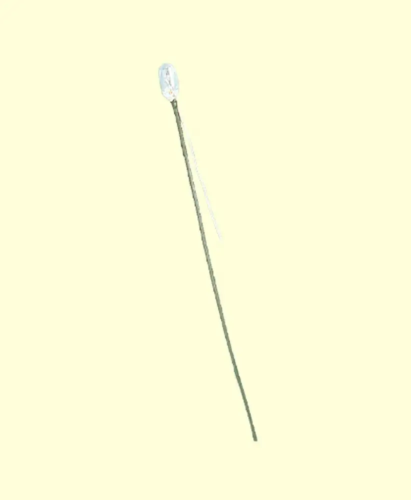 Kleine afbeelding van Brawa 3267