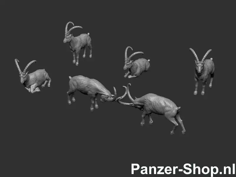 Panzer-Shop 48860377153755