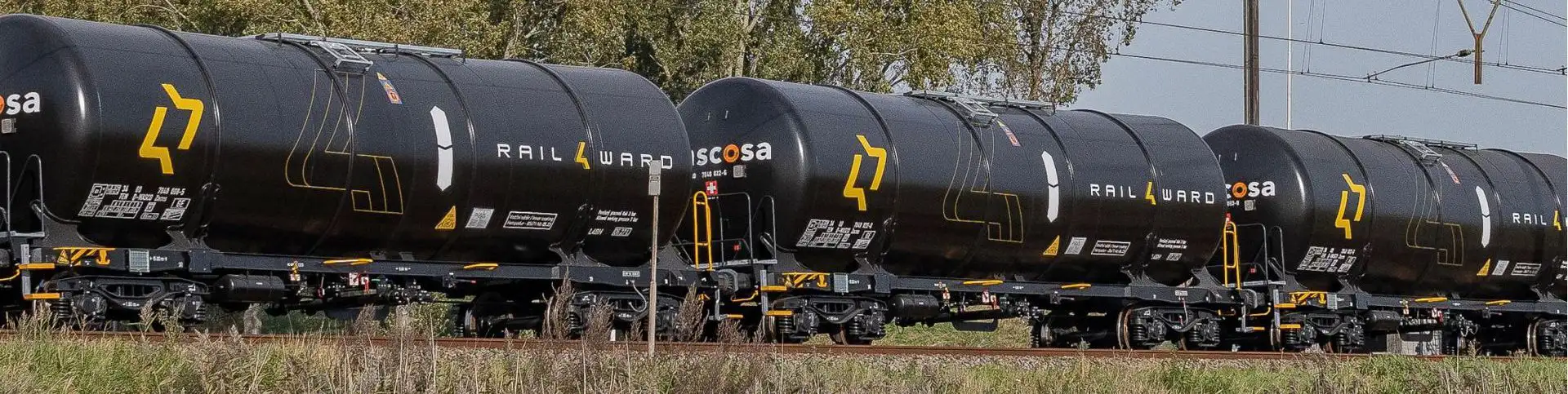 Kleine afbeelding van Igra 96200052