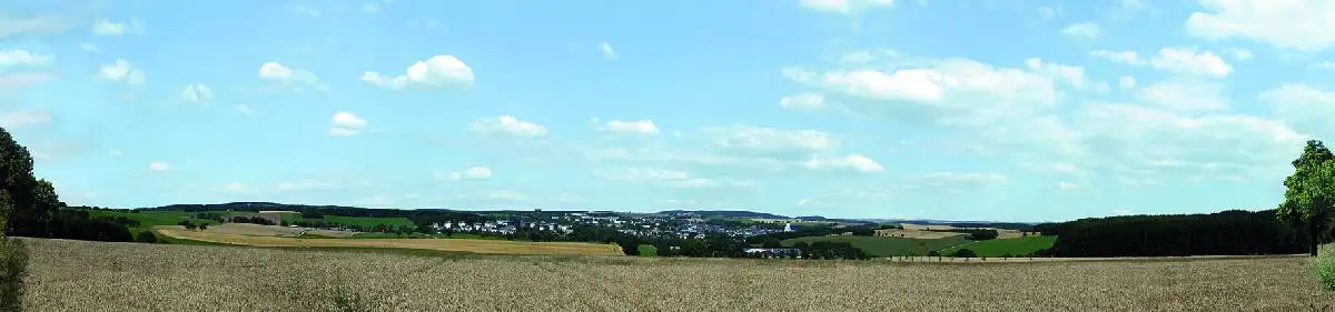 Kleine afbeelding van Auhagen 42514