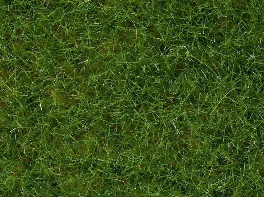 Kleine afbeelding van Noch 07092