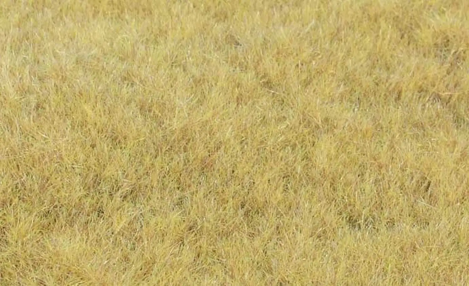 Kleine afbeelding van Heki 33543
