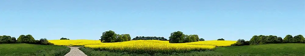 Kleine afbeelding van Faller 180504