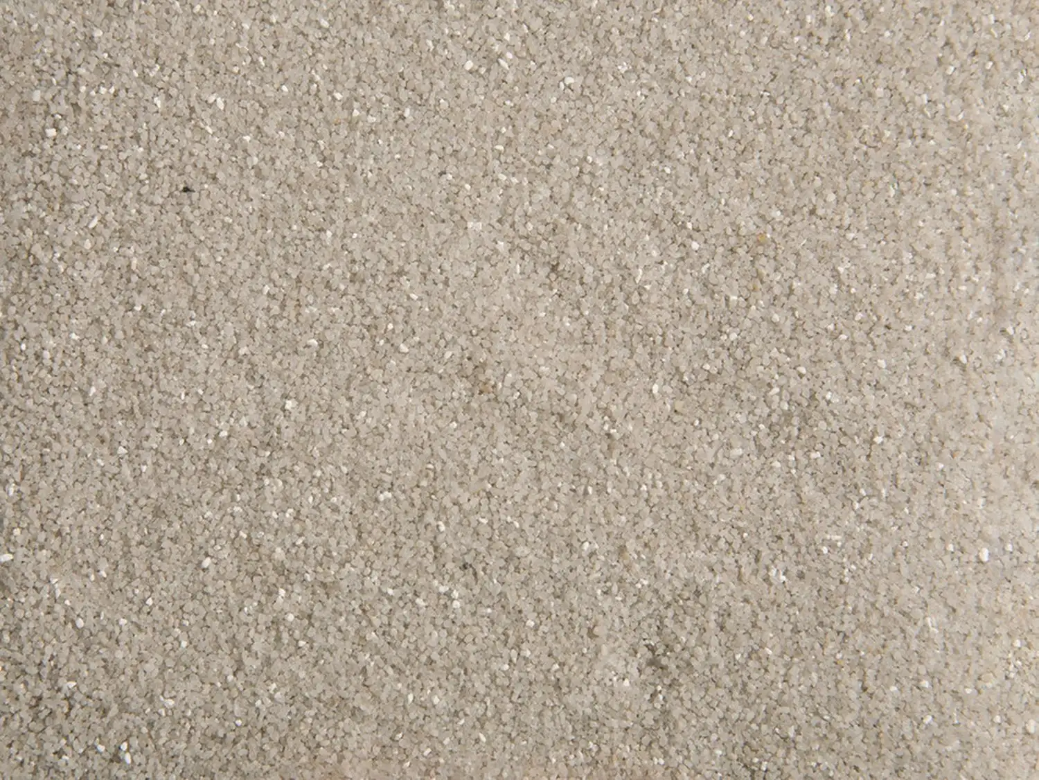 Kleine afbeelding van Noch 09237