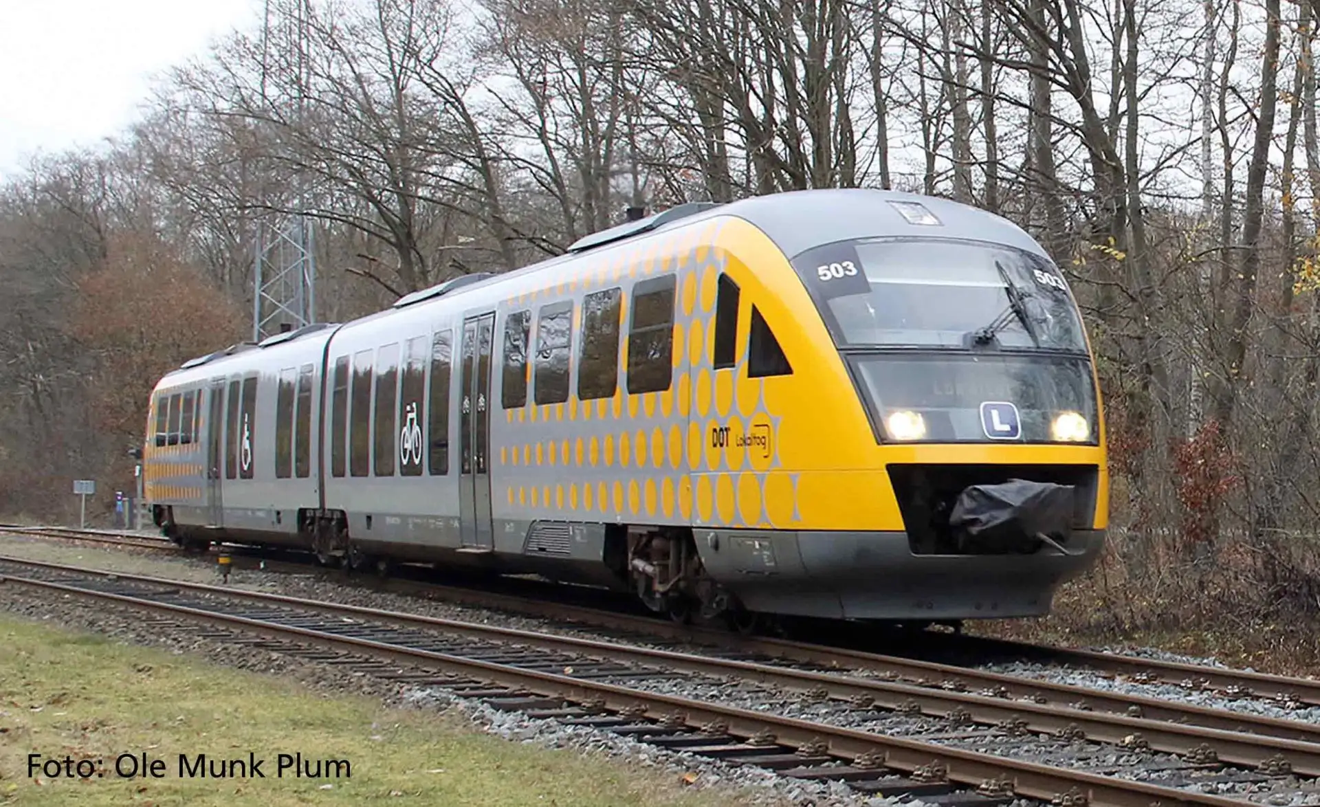 Kleine afbeelding van Piko 52973