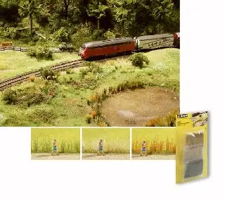 Kleine afbeelding van Noch 07060