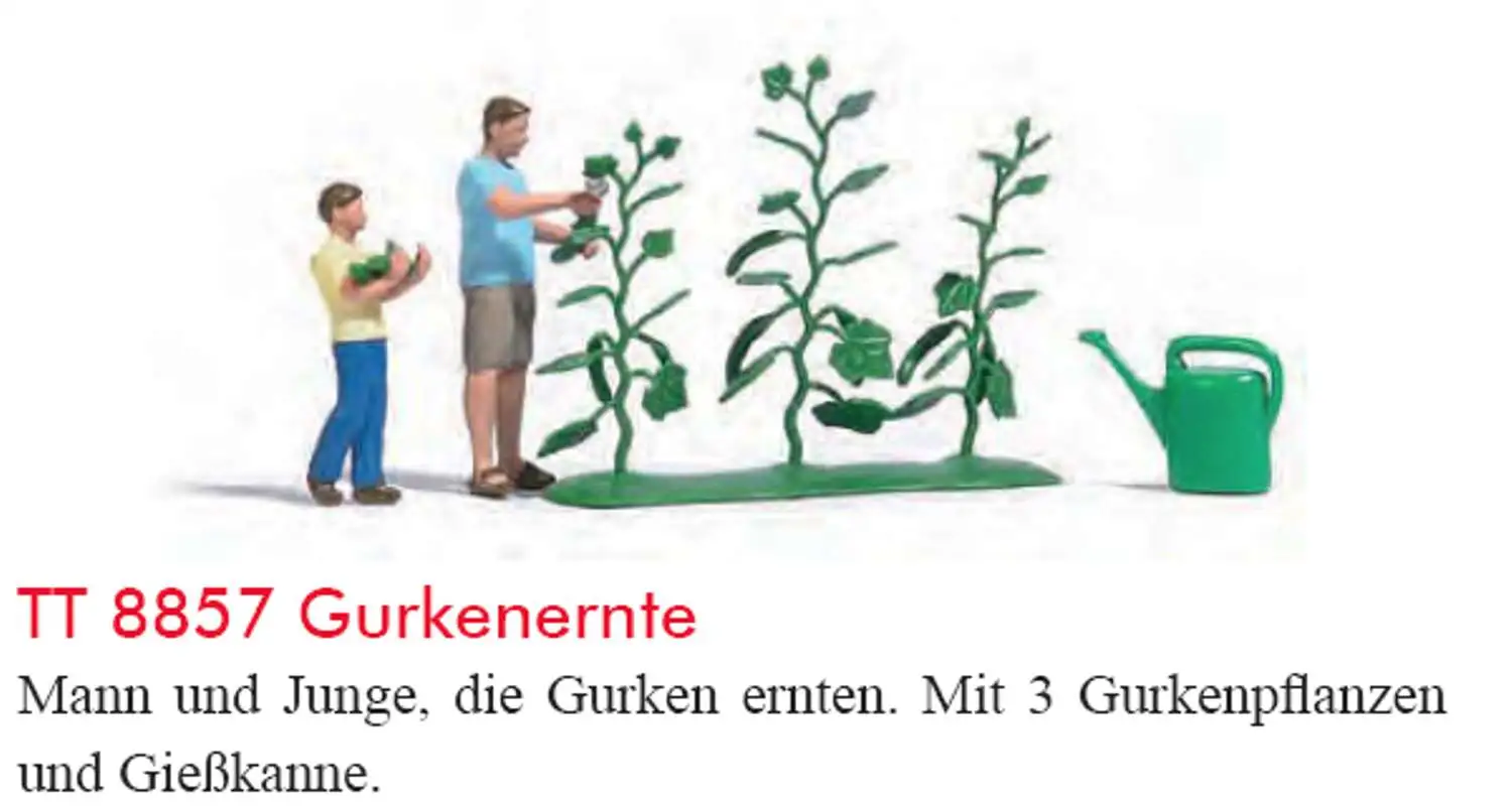 Kleine afbeelding van Busch 8857