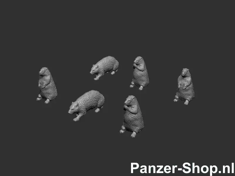 Panzer-Shop 48860366405851