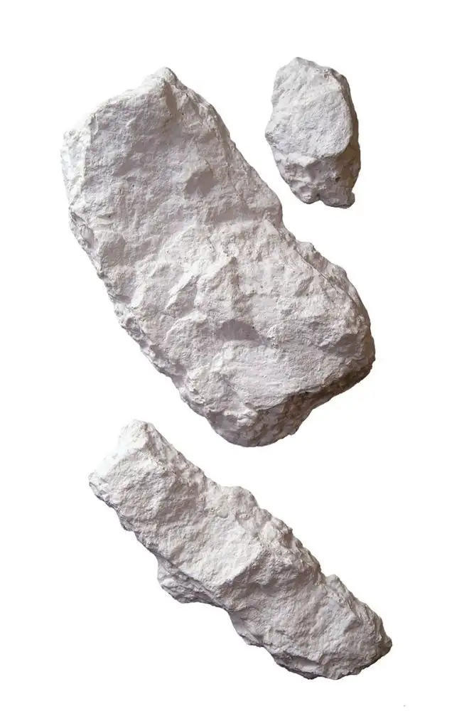 Kleine afbeelding van Noch 61234