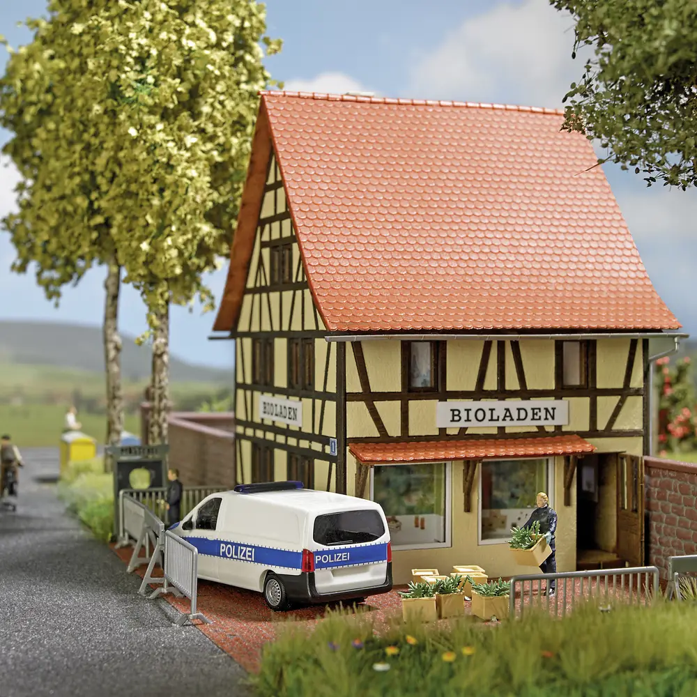 Kleine afbeelding van Busch 79870