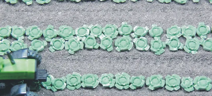 Juweela 28226