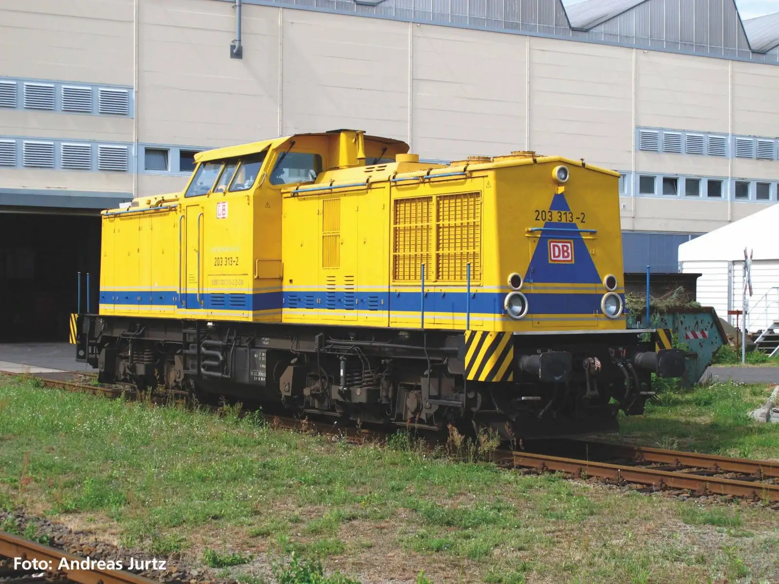 Kleine afbeelding van Piko 37558