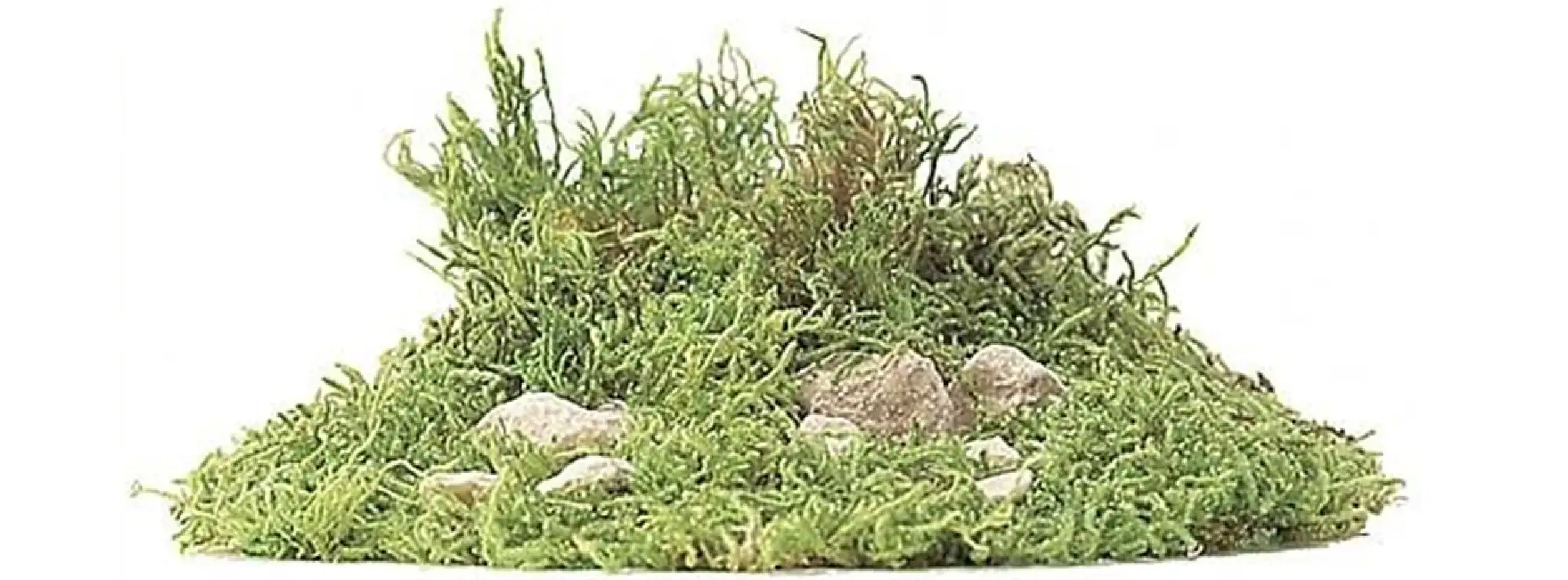 Kleine afbeelding van Busch 7350