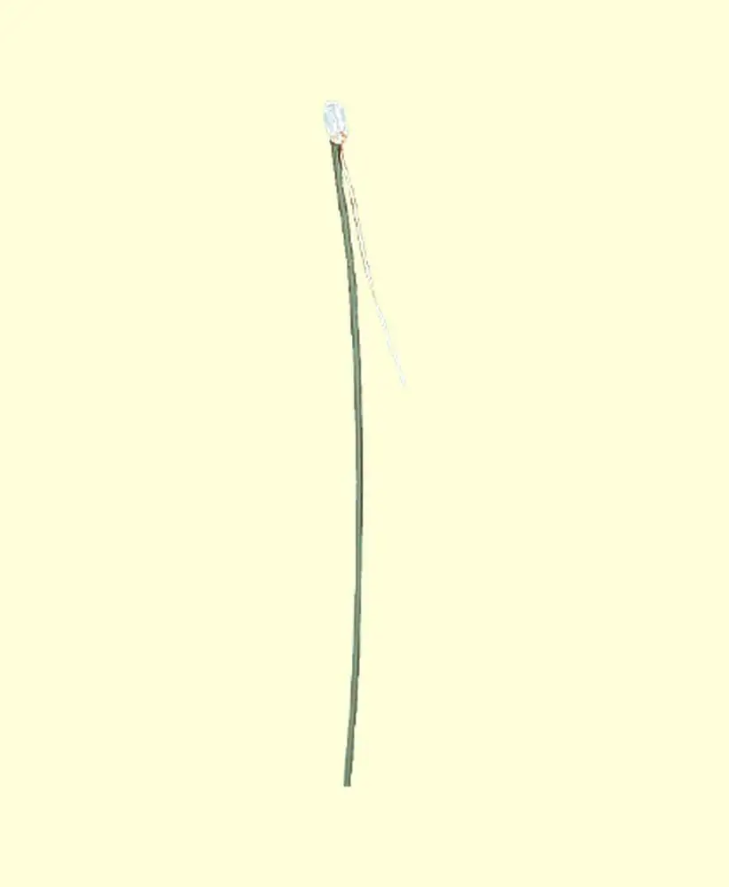 Kleine afbeelding van Brawa 3293