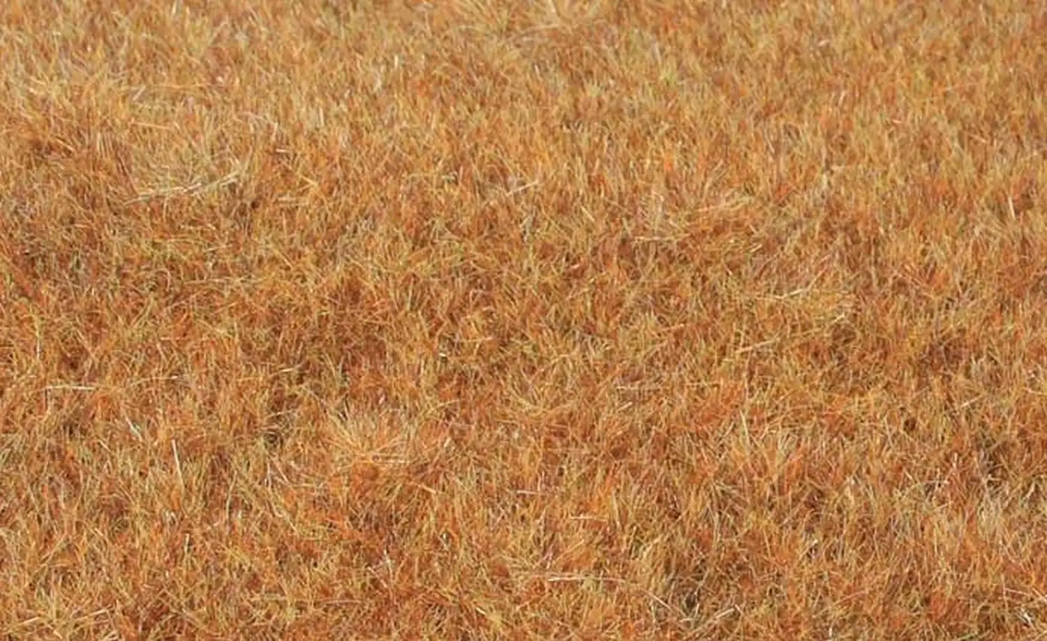 Kleine afbeelding van Heki 33545